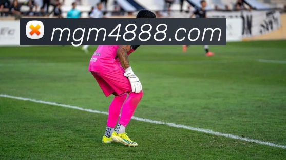 平台展示图
